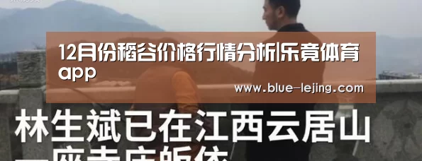 12月份稻谷价格行情分析|乐竟体育app(图2) 乐竟体育平台官网