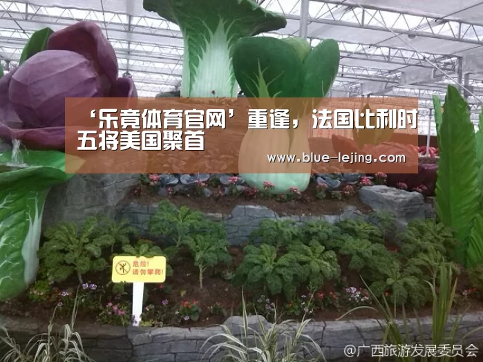 ‘乐竟体育官网’重逢,法国比利时五将美国聚首(图3) 乐竟app