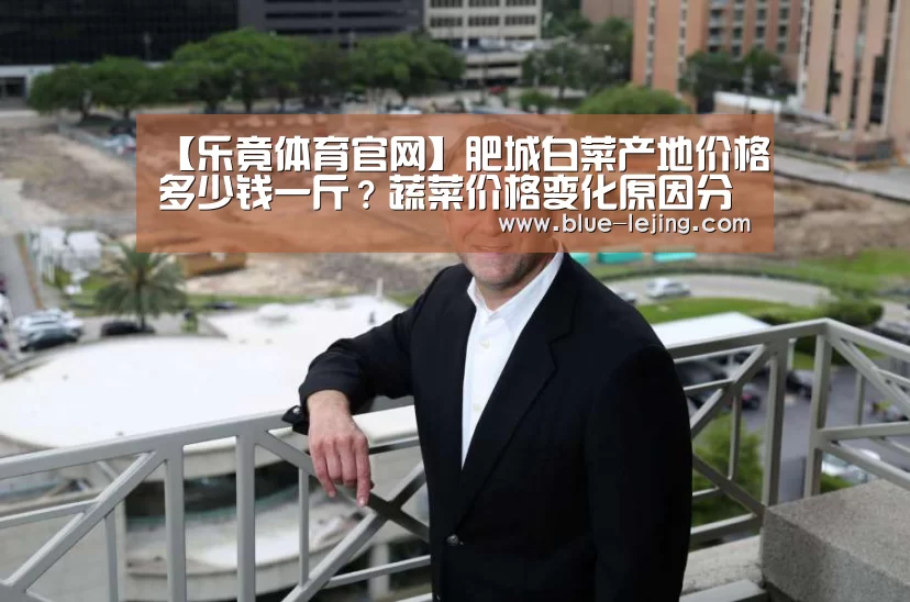 【乐竟体育官网】肥城白菜产地价格多少钱一斤?蔬菜价格变化原因分析(图2) 乐竟体育平台官网