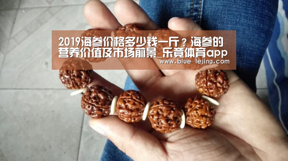 2019海参价格多少钱一斤?海参的营养价值及市场前景_乐竟体育app(图2) 乐竟体育官网