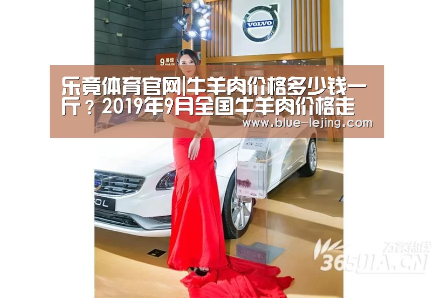 乐竟体育官网|牛羊肉价格多少钱一斤?2019年9月全国牛羊肉价格走势分析(图1) 乐竟app