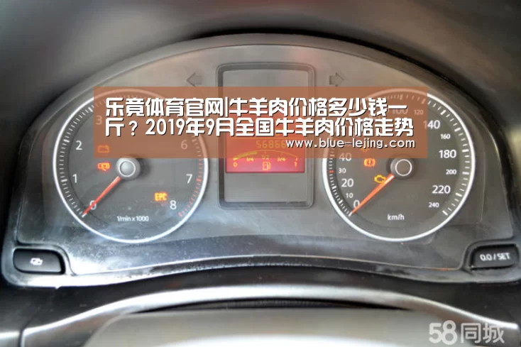 乐竟体育官网|牛羊肉价格多少钱一斤?2019年9月全国牛羊肉价格走势分析(图2) 乐竟体育app