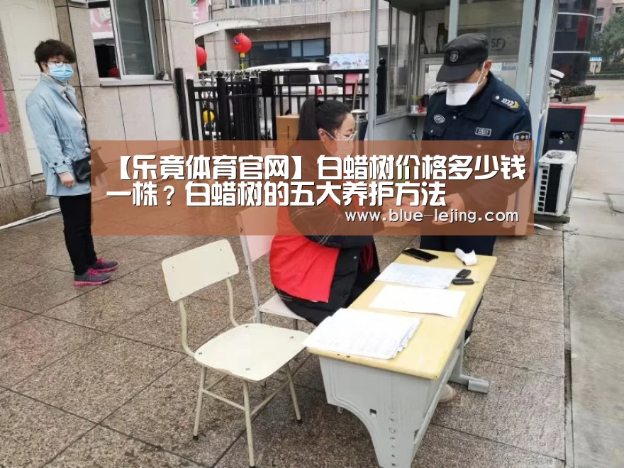 【乐竟体育官网】白蜡树价格多少钱一株？白蜡树的五大养护方法